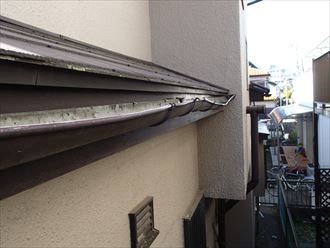 P1174972_R.JPG
