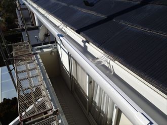 P2024987_R.JPG