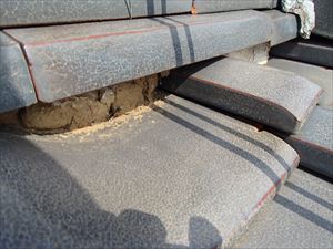 P2232720_R.JPG