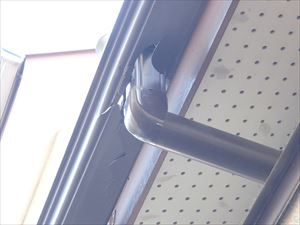 P3255239_R.JPG
