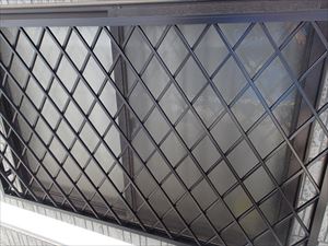 P6027788_R.JPG