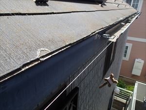 P6027793_R.JPG
