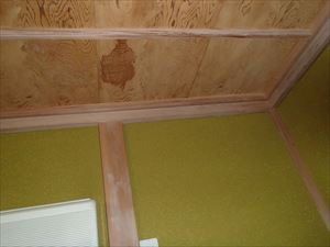 P7026438_300R1.JPG