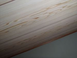 P9262464_300R1.JPG