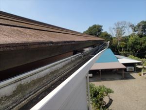 P9262999_R.JPG