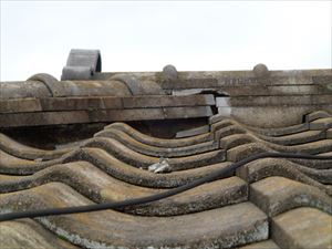 PA063508_R.JPG