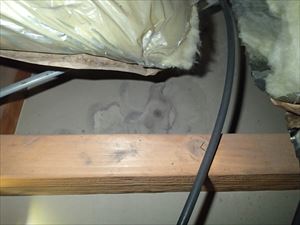 PA184048_R.JPG