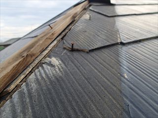 PB070030_R.JPG