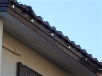 PC224786_R.JPG