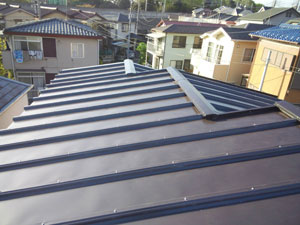 鎌ヶ谷市 屋根カバー工事 中橋常好様