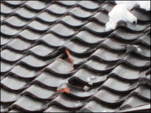降雪による屋根の被害にご注意ください