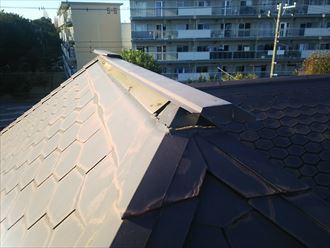 0915ccf967cdc2d4306e0d605b1fabeb