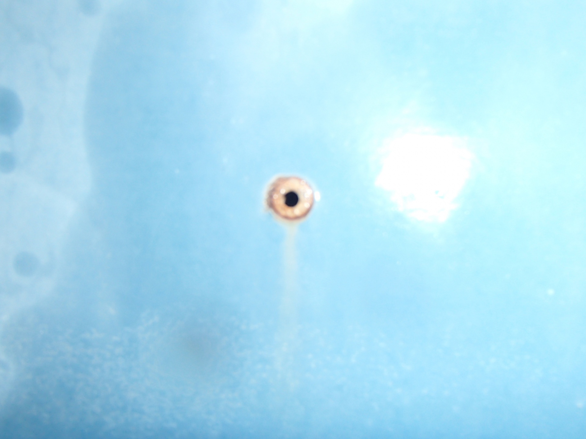 P2061842