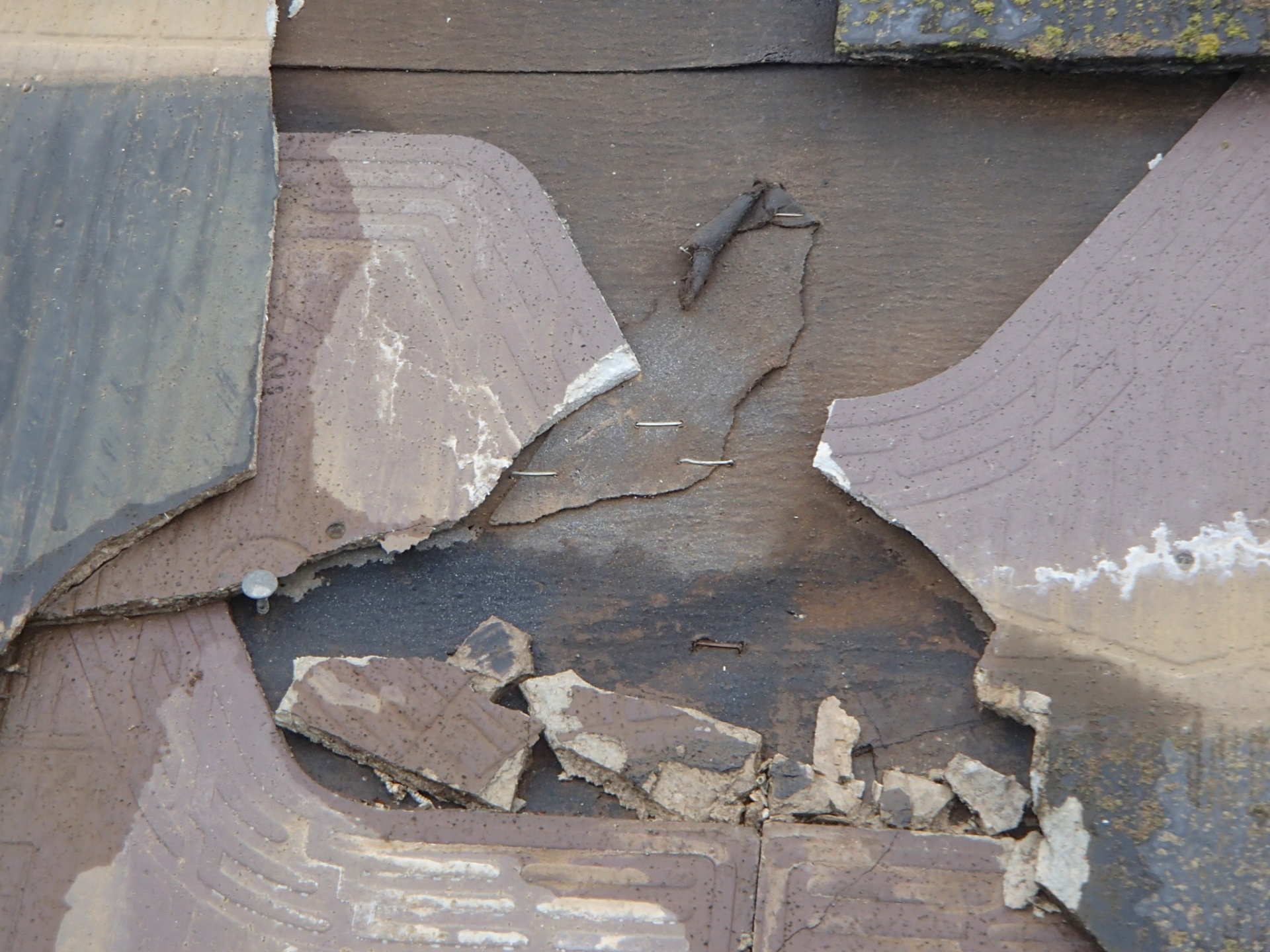 P2132276