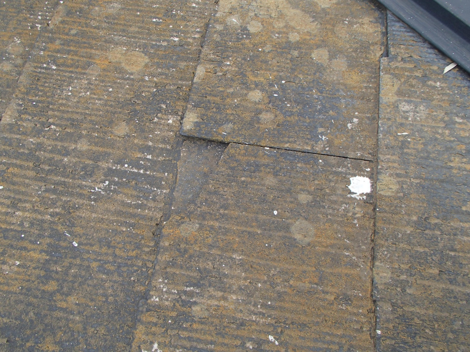 P4176284