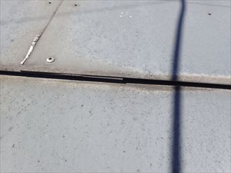 P9090053_R