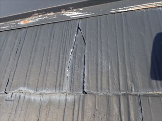 PA310060_R-1