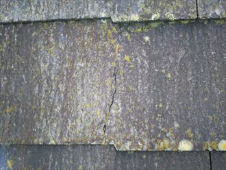d8195b9675c8c8324c4145bccd1d7158